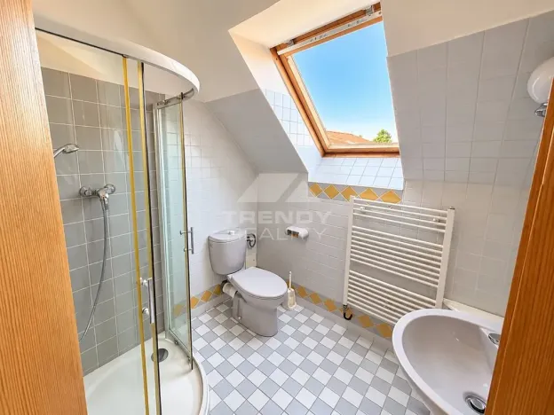 Pronájem rodinného domu, Vestec, Vilová I, 250 m2