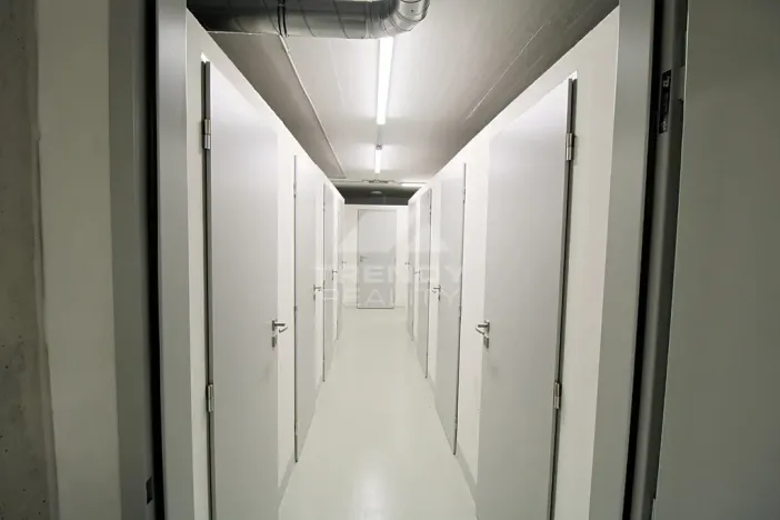 Pronájem bytu 2+kk, Plzeň, Heyrovského, 60 m2