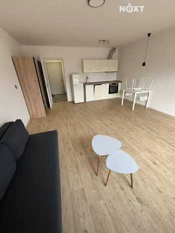 Pronájem bytu 1+kk, České Budějovice, Chelčického, 38 m2