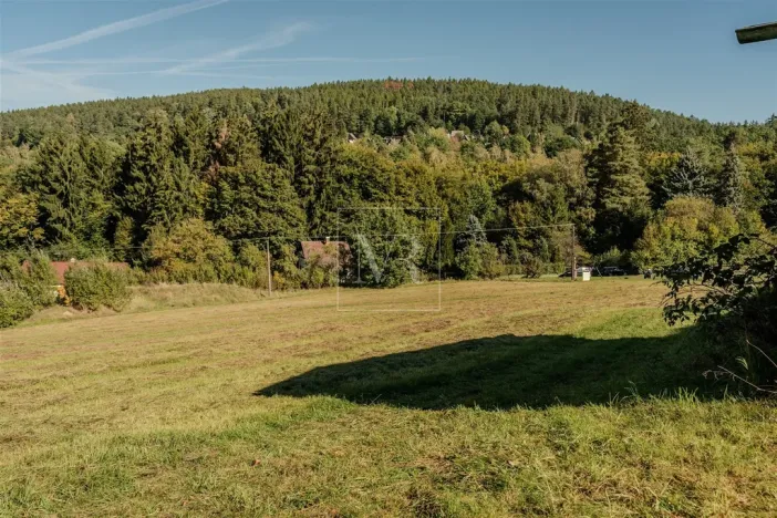 Prodej pozemku pro bydlení, Stříbrná Skalice, 4259 m2