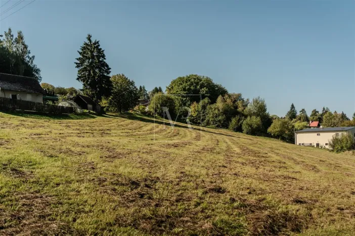 Prodej pozemku pro bydlení, Stříbrná Skalice, 4259 m2