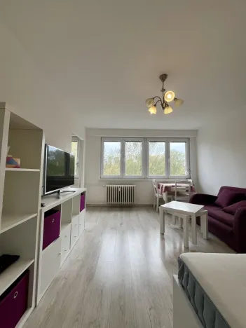 Pronájem bytu 1+1, Ostrava - Poruba, Polská, 30 m2