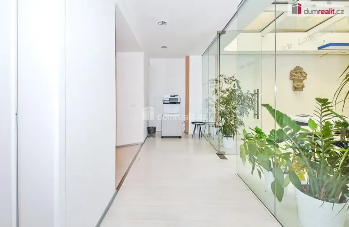 Pronájem kanceláře, Praha - Nové Město, V jirchářích, 284 m2