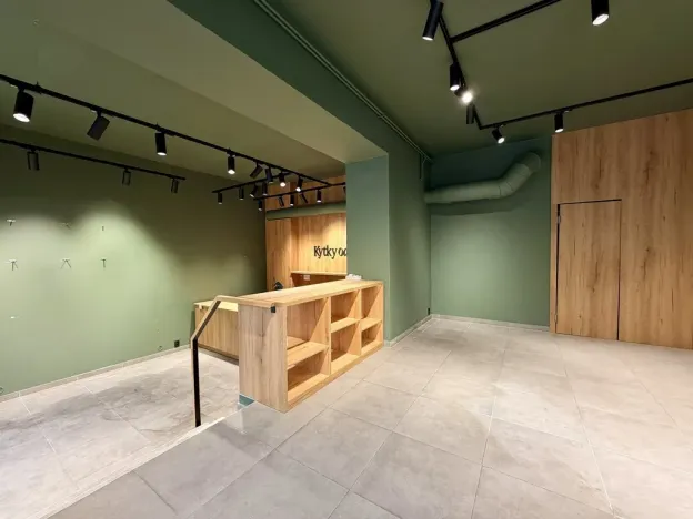 Pronájem obchodního prostoru, Plzeň, Americká, 140 m2
