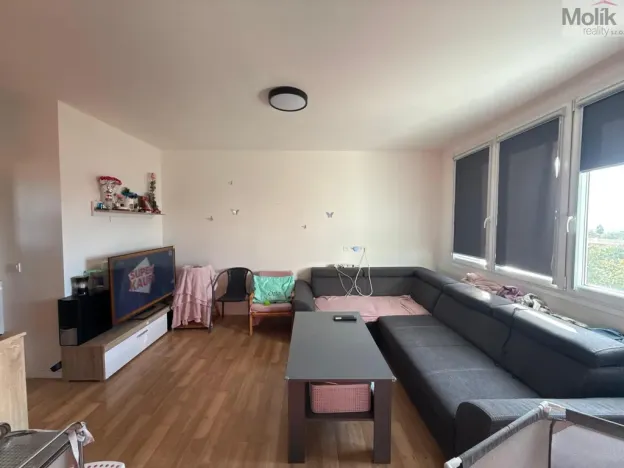 Pronájem bytu 3+1, Most, Růžová, 56 m2