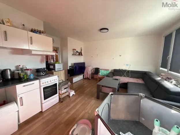 Pronájem bytu 3+1, Most, Růžová, 56 m2