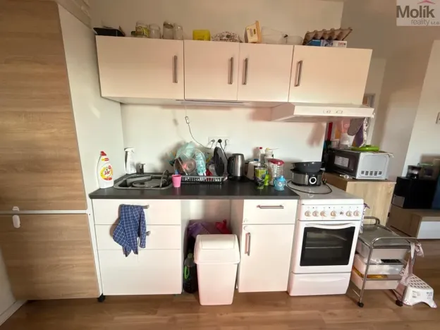 Pronájem bytu 3+1, Most, Růžová, 56 m2