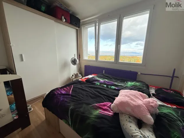 Pronájem bytu 3+1, Most, Růžová, 56 m2