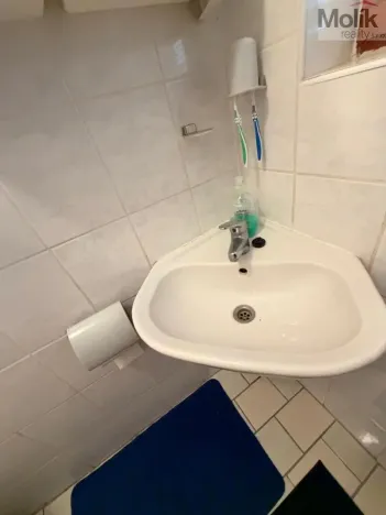 Prodej chaty, Nepomyšl - Nová Ves, 102 m2