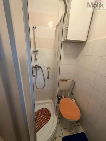 Prodej chaty, Nepomyšl - Nová Ves, 102 m2