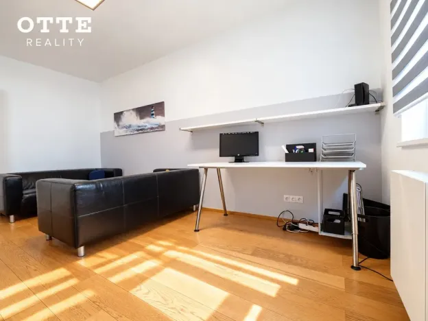 Prodej bytu 2+kk, Plzeň, Šafaříkovy sady, 60 m2