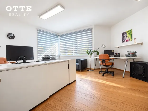 Prodej bytu 2+kk, Plzeň, Šafaříkovy sady, 60 m2