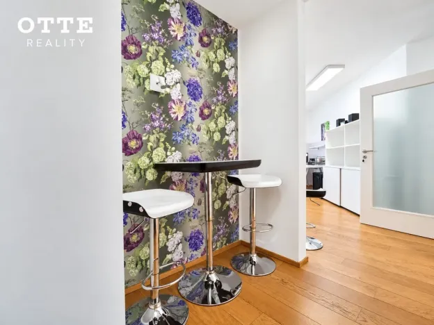 Prodej bytu 2+kk, Plzeň, Šafaříkovy sady, 60 m2