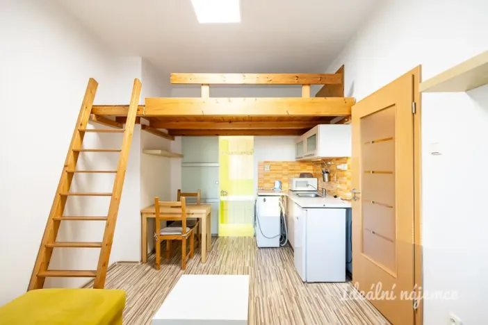 Pronájem bytu 1+kk, Praha - Holešovice, Přístavní, 20 m2