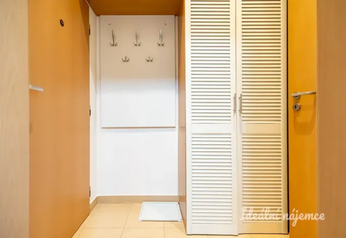 Pronájem bytu 1+kk, Praha - Holešovice, Přístavní, 20 m2