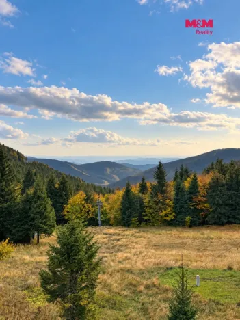 Prodej chalupy, Loučná nad Desnou - Kouty nad Desnou, 39 m2