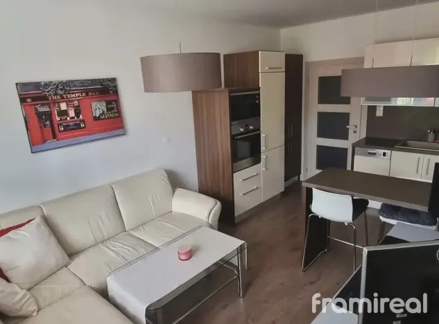 Pronájem bytu 2+kk, Brno, Slovinská, 45 m2