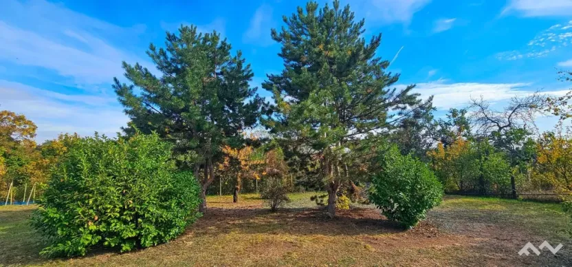 Prodej chaty, Nový Šaldorf-Sedlešovice - Sedlešovice, 54 m2