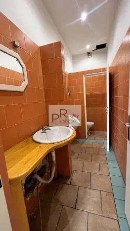 Pronájem obchodního prostoru, Znojmo, Tovární, 300 m2