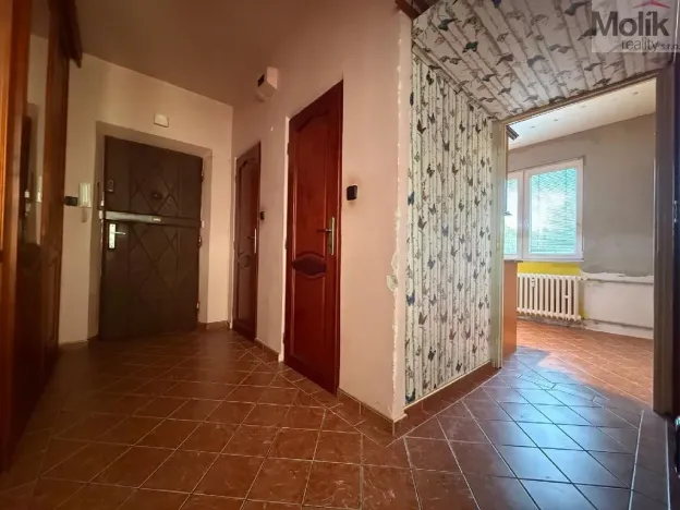Prodej bytu 2+1, Bílina - Teplické Předměstí, M. Švabinského, 56 m2