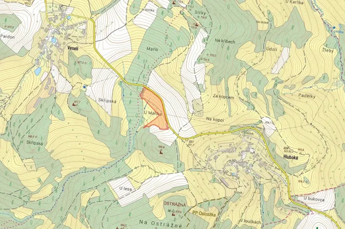 Prodej louky, Dalečín, 12868 m2