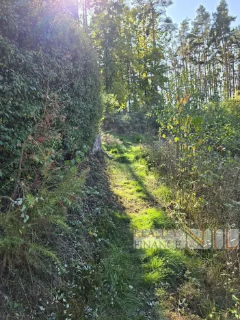 Prodej chaty, Pňovany, 54 m2