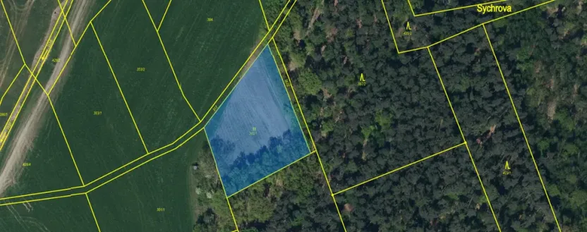 Prodej louky, Ostřetín - Vysoká u Holic, 2972 m2