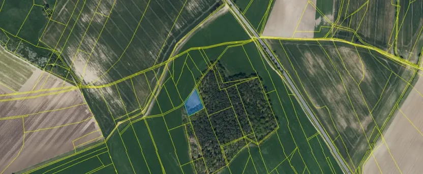 Prodej louky, Ostřetín - Vysoká u Holic, 2972 m2