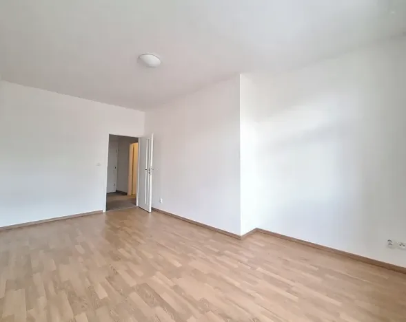 Pronájem bytu 2+1, Praha - Bubeneč, U zeměpisného ústavu, 49 m2