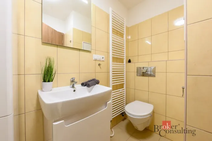 Pronájem bytu 2+kk, Plzeň - Bolevec, U Velkého rybníka, 59 m2