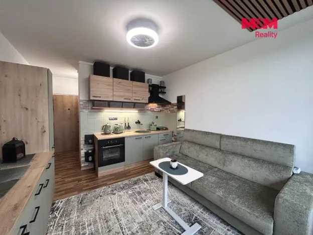 Pronájem bytu 1+kk, Ústí nad Labem - Ústí nad Labem-centrum, Hoření, 21 m2