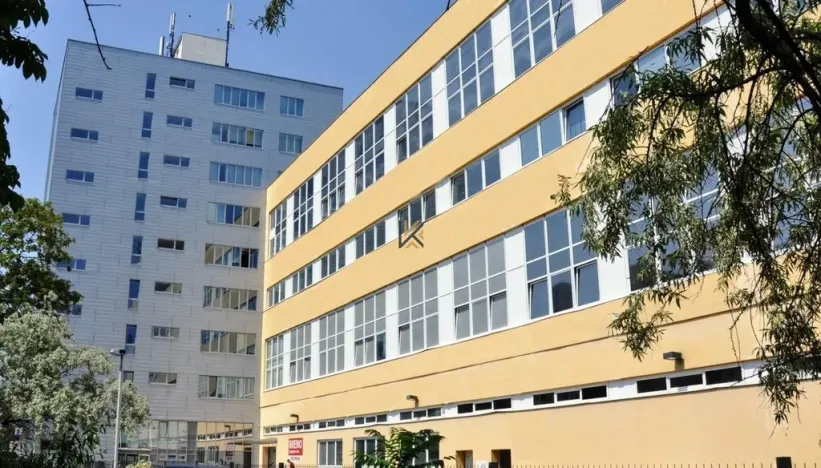 Pronájem kanceláře, Praha - Holešovice, Jankovcova, 313 m2