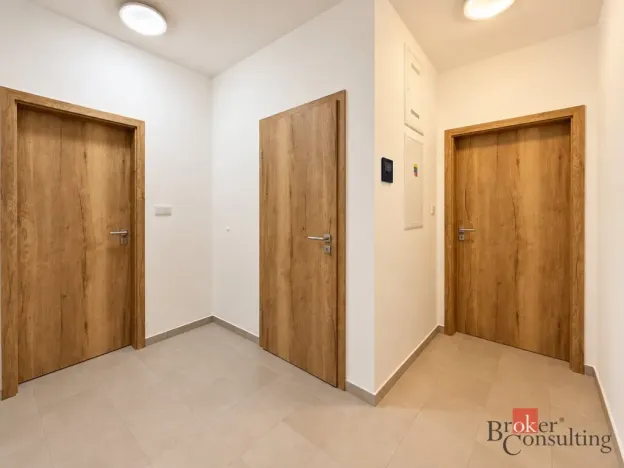 Pronájem bytu 2+kk, Plzeň - Jižní Předměstí, Železná, 56 m2