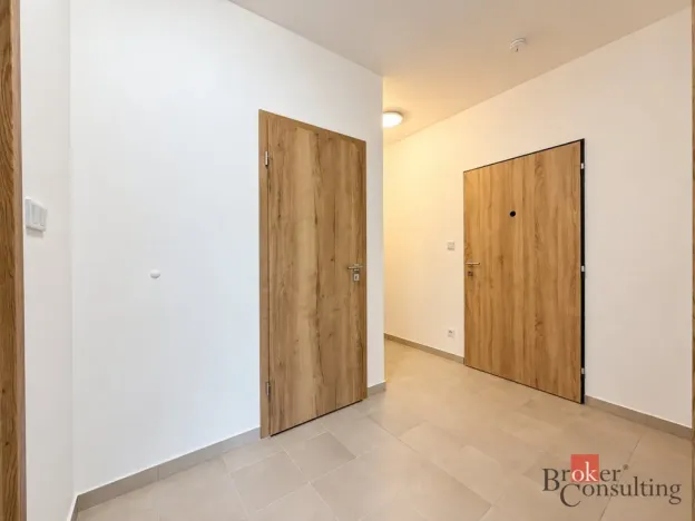 Pronájem bytu 2+kk, Plzeň - Jižní Předměstí, Železná, 56 m2
