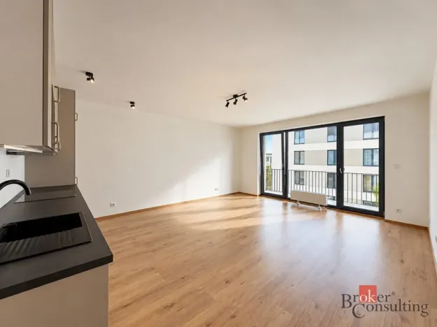 Pronájem bytu 2+kk, Plzeň - Jižní Předměstí, Železná, 56 m2