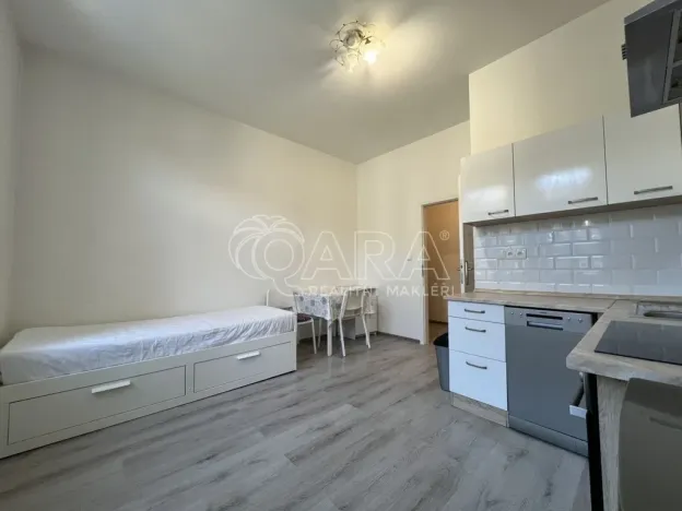 Pronájem bytu 1+kk, Praha - Braník, Na vinohradu, 22 m2