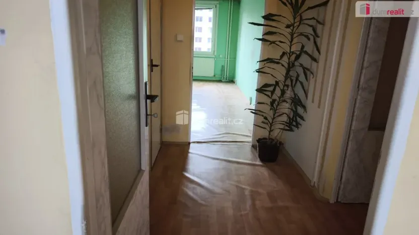 Prodej bytu 2+kk, Plzeň - Severní Předměstí, Hodonínská, 46 m2
