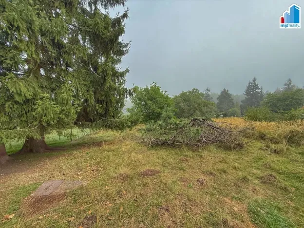 Prodej pozemku pro bydlení, Zbůch, Plzeňská, 1285 m2