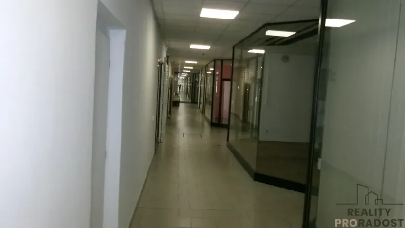 Pronájem obchodního prostoru, Brno, Vídeňská, 35 m2