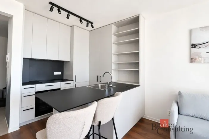 Pronájem bytu 2+kk, Plzeň - Východní Předměstí, Zahradní, 43 m2