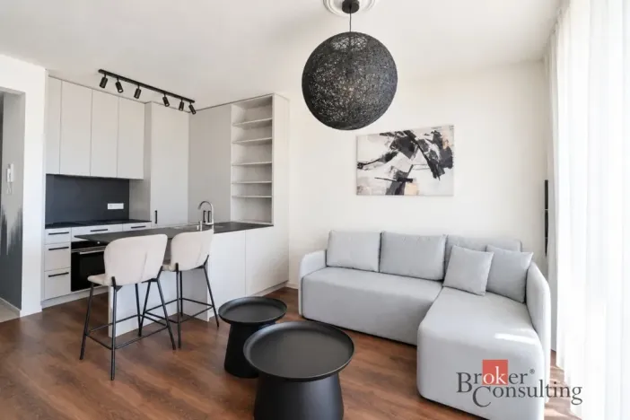 Pronájem bytu 2+kk, Plzeň - Východní Předměstí, Zahradní, 43 m2