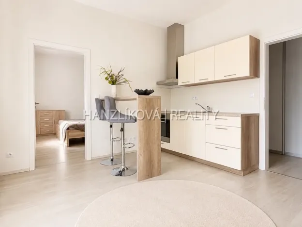 Pronájem bytu 2+kk, České Budějovice - České Budějovice 2, U Boru, 40 m2
