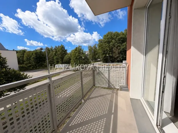 Pronájem bytu 2+kk, České Budějovice - České Budějovice 2, U Boru, 40 m2