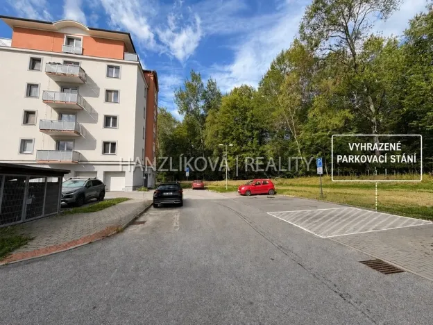 Pronájem bytu 2+kk, České Budějovice - České Budějovice 2, U Boru, 40 m2