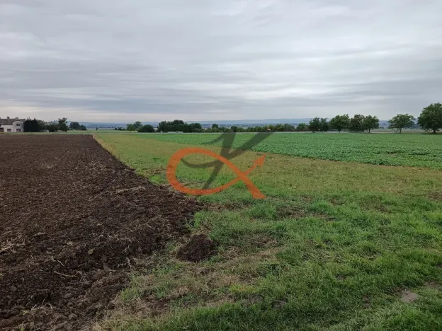 Prodej pozemku pro bydlení, Stará Ves, 1343 m2