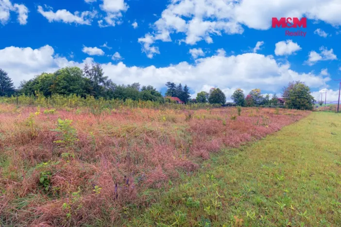 Prodej pozemku pro bydlení, Kolešovice, 3026 m2