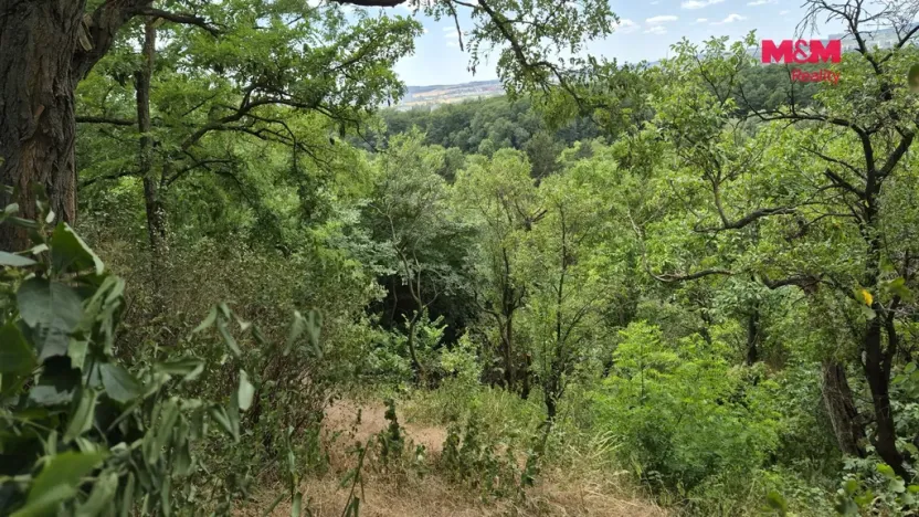 Prodej zahrady, Brno - Brněnské Ivanovice, 1358 m2
