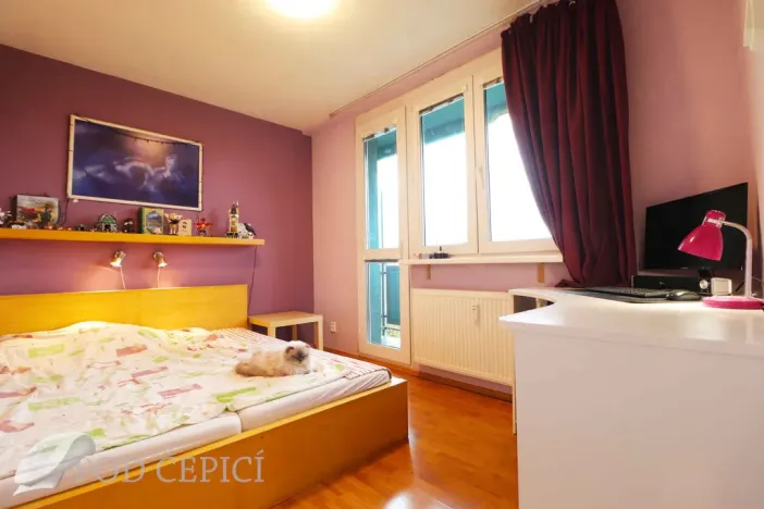 Pronájem bytu 2+1, Brno - Staré Brno, Křídlovická, 51 m2