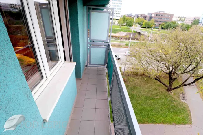 Pronájem bytu 2+1, Brno - Staré Brno, Křídlovická, 51 m2
