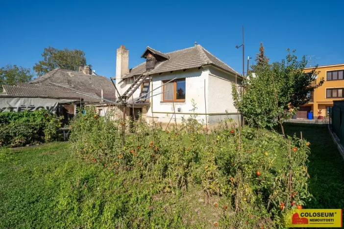 Prodej rodinného domu, Hrušovany nad Jevišovkou, 47 m2